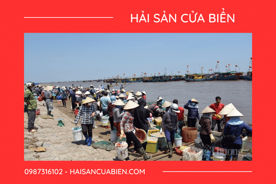 Chợ cá Giao Hải