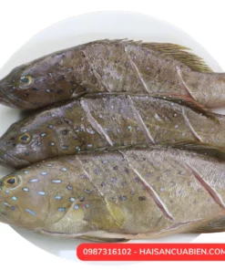 Cá song, hay còn gọi là cá mú, là một loại cá biển ngon và phổ biến trong ẩm thực Việt Nam