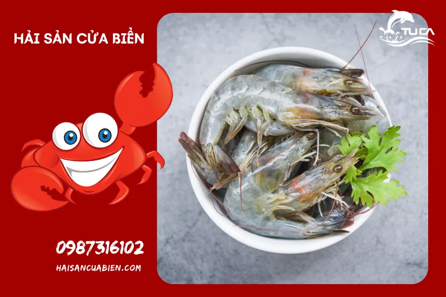 Cách lựa chọn tôm tươi và cách bảo quản tôm tốt nhất