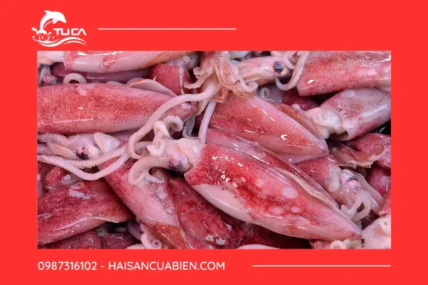 Cách chọn mua và bảo quản mực hiệu quả
