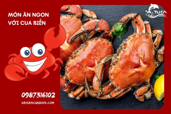 Cách Chọn Cua Biển Tươi Ngon