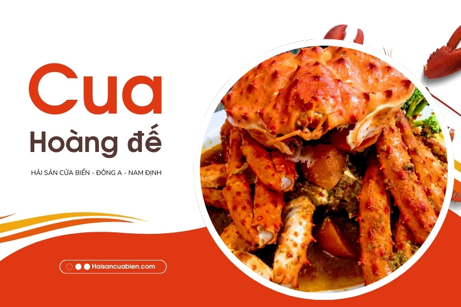 Nguồn Gốc Của Cua Hoàng Đế (King Crab)