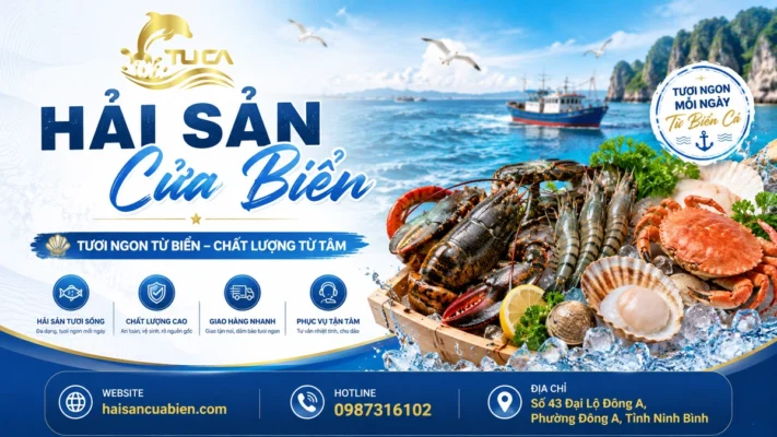 Hải Sản Cửa Biển: Cẩm Nang Toàn Tập Về Thế Giới Hải Sản Tươi Sống Cao Cấp