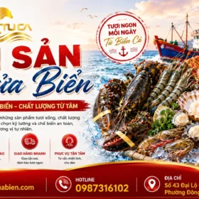 Hải Sản Cửa Biển Đông A: Cẩm Nang Toàn Diện Về Thế Giới Hải Sản Tươi Sống Cao Cấp Tại Ninh Bình