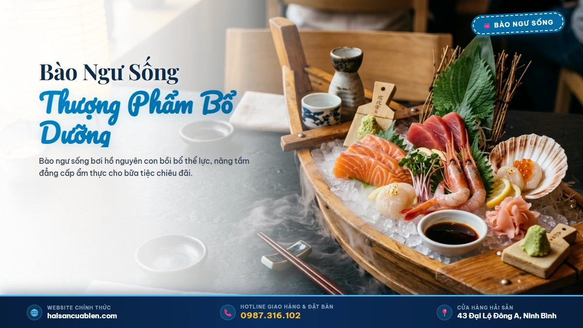 Bào ngư sống nhập khẩu Hải Sản Cửa Biển