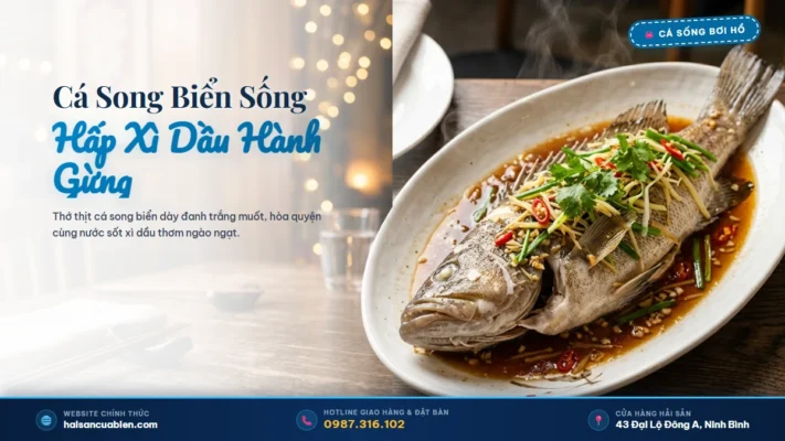 Cá song biển tươi sống Hải Sản Cửa Biển