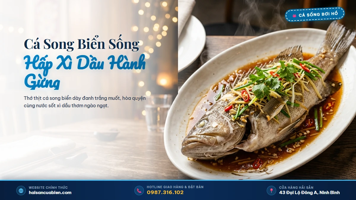 Cá song biển tươi sống Hải Sản Cửa Biển