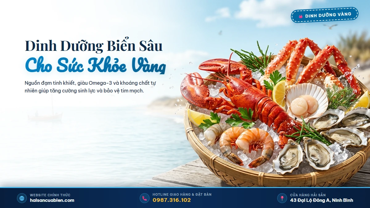 Dinh dưỡng hải sản biển sống Hải Sản Cửa Biển