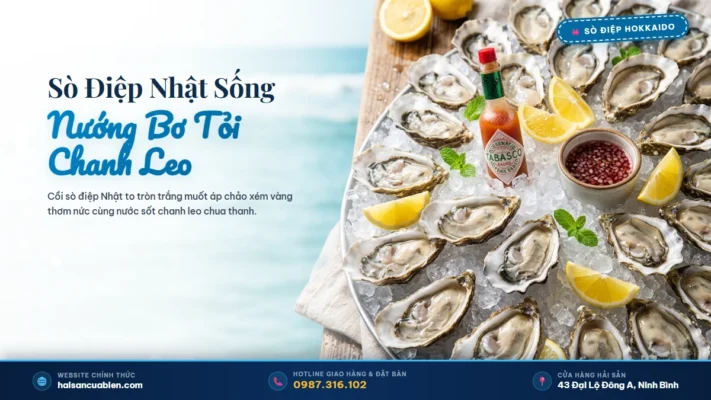 Sò điệp Nhật tươi sống Hải Sản Cửa Biển