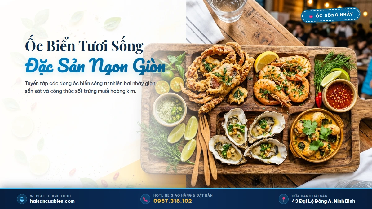 Ốc biển tươi sống Hải Sản Cửa Biển