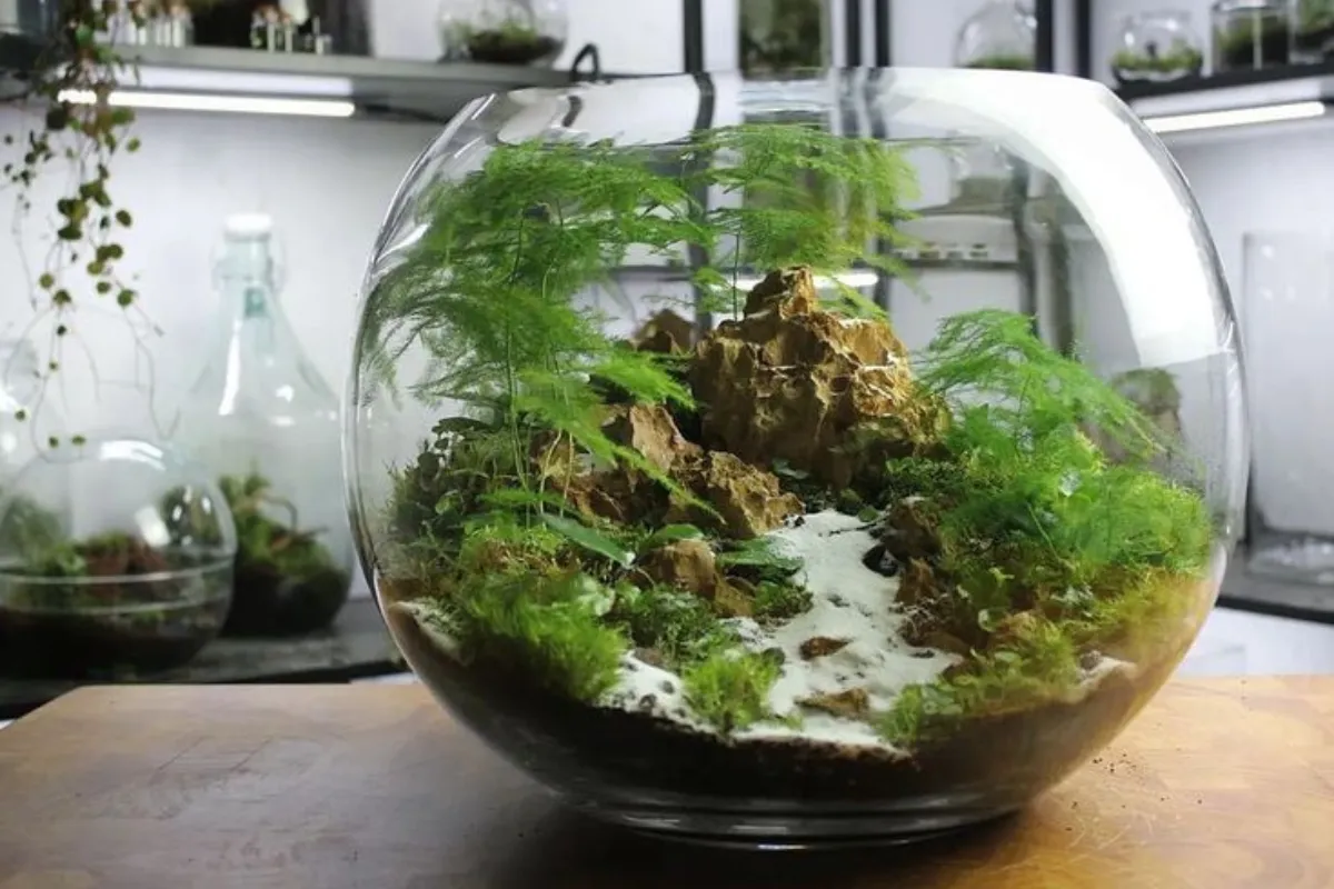 Terrarium, Aquarium và Vivarium khác nhau như thế nào?