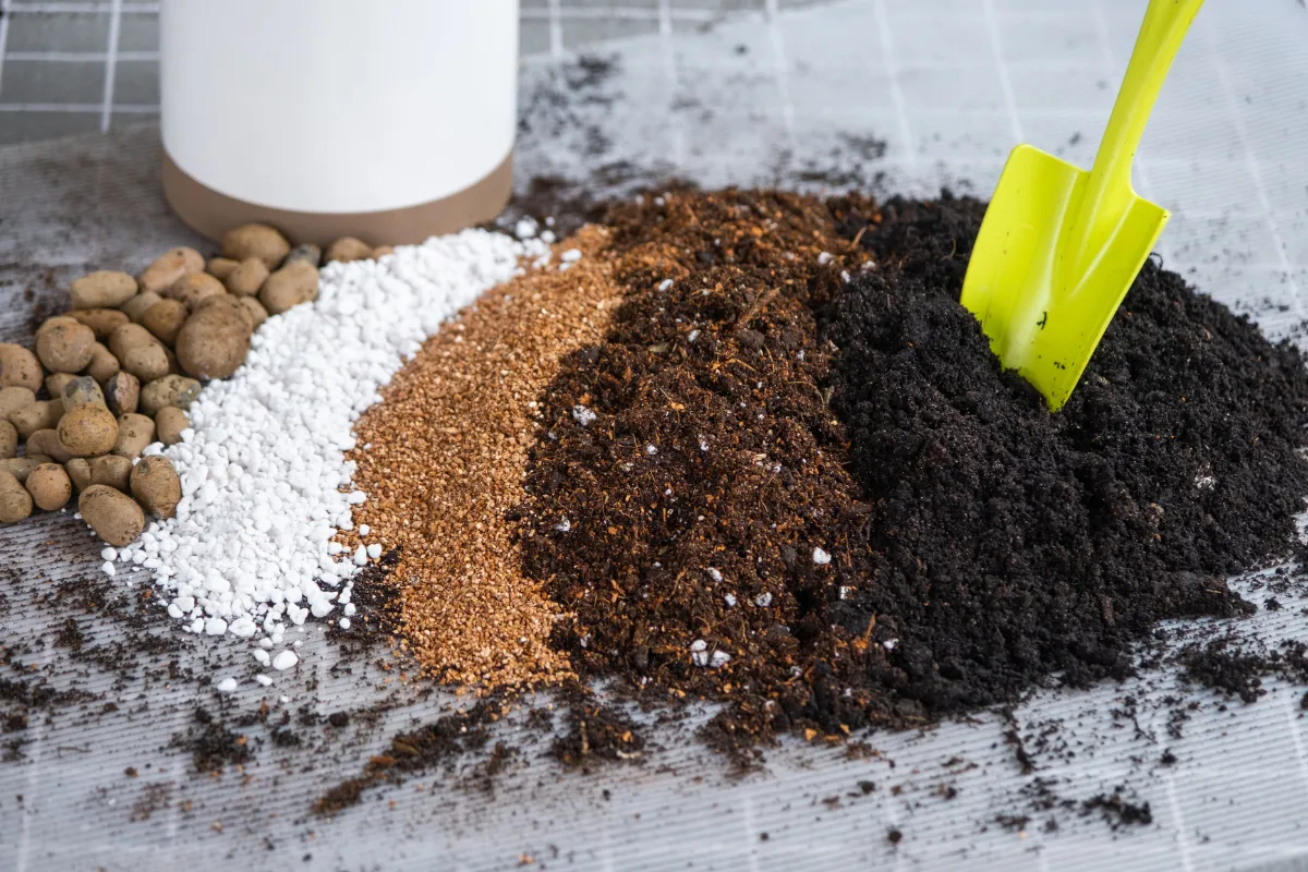 Vermiculite: Tại sao nó lại có trong chất nền của Terrarium?