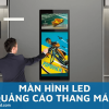 Giá treo tivi LED màn hình phẳng có những loại nào? Loại nào sẽ phù hợp với bạn?