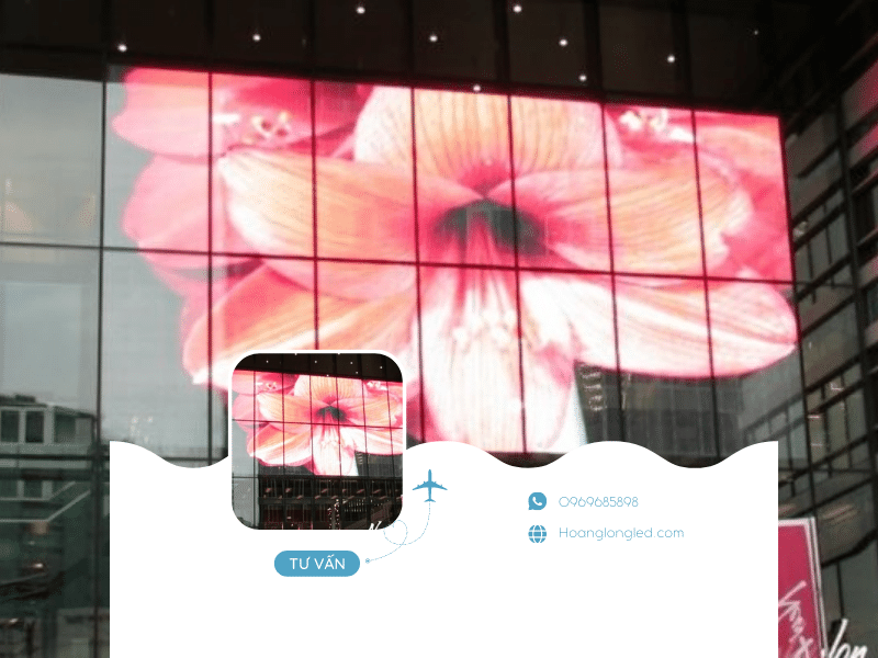 HOANGLONGLED - Màn hình LED film