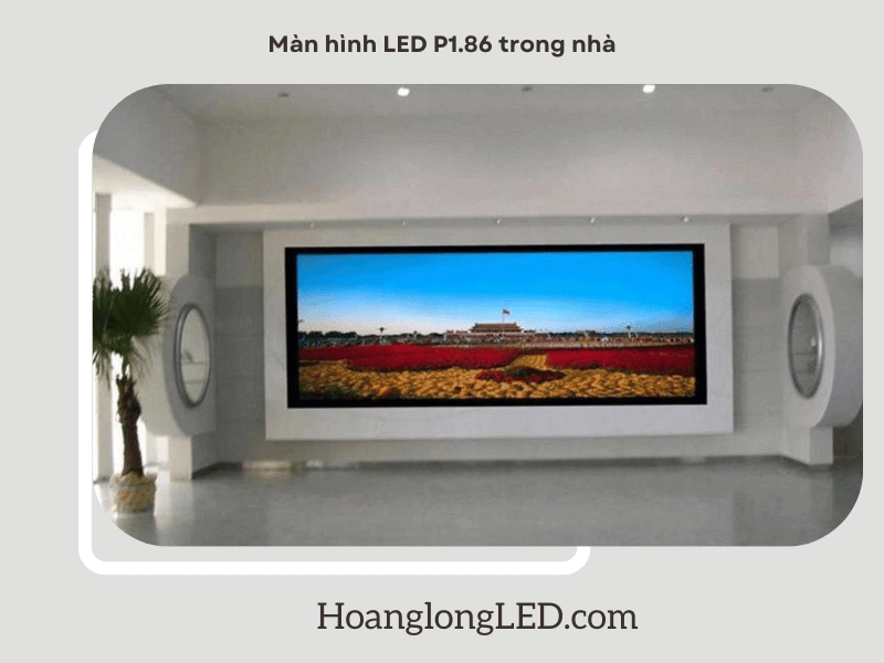 Màu sắc tươi sáng, độ phân giải siêu nét