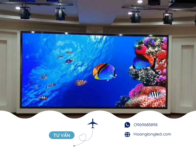 Bí quyết để giữ cho hình ảnh luôn sắc nét và sống động.