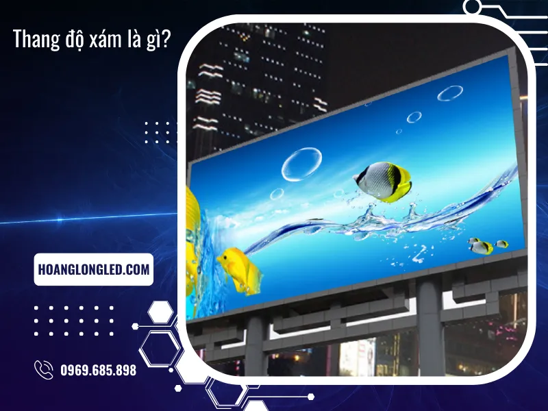  Cải thiện chất lượng hình ảnh và trải nghiệm của bạn. 