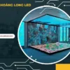 Màn hình LED sàn là gì? Đặc điểm, tính năng và ứng dụng