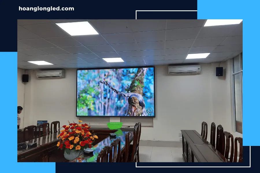 Ứng dụng đa dạng của <yoastmark class=