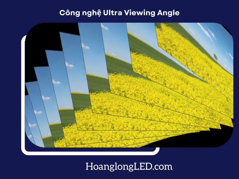 Màu sắc chân thực, độ tương phản ổn định  Màu sắc chân thực, độ tương phản ổn định