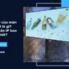 Chỉ số IP của màn hình LED là gì? Tiêu chuẩn IP bao nhiêu là tốt?