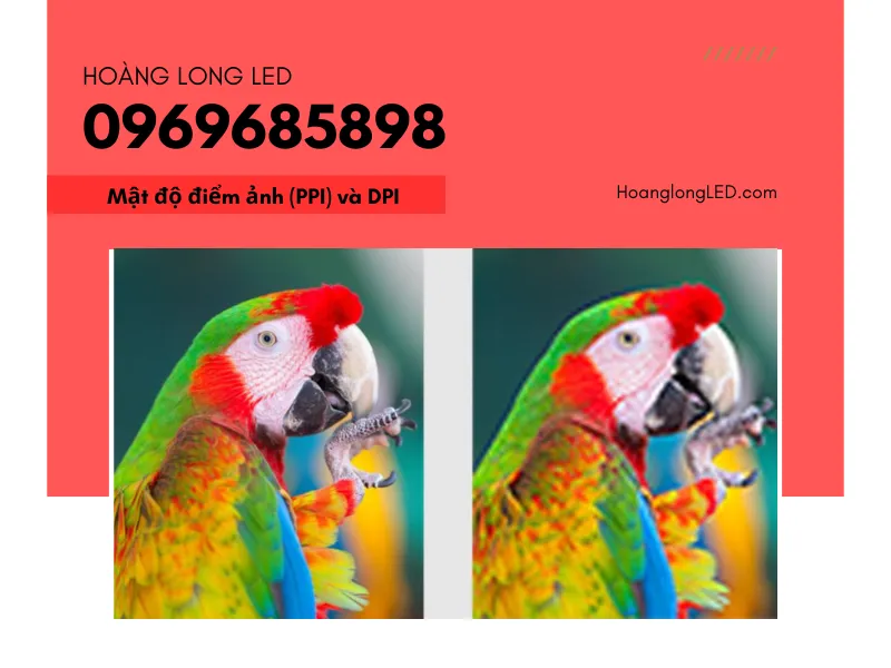 Hai yếu tố quyết định chất lượng hình ảnh trên màn hình và bản in. Hai yếu tố quyết định chất lượng hình ảnh trên màn hình và bản in.