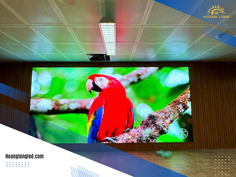 Hoàng Long LED Thi Công 33m² Màn Hình LED Qiangli Q4 Ngoài Trời (Outdoor Qiangli Q4 LED Display) Tại Trường Mầm Non Đông Anh