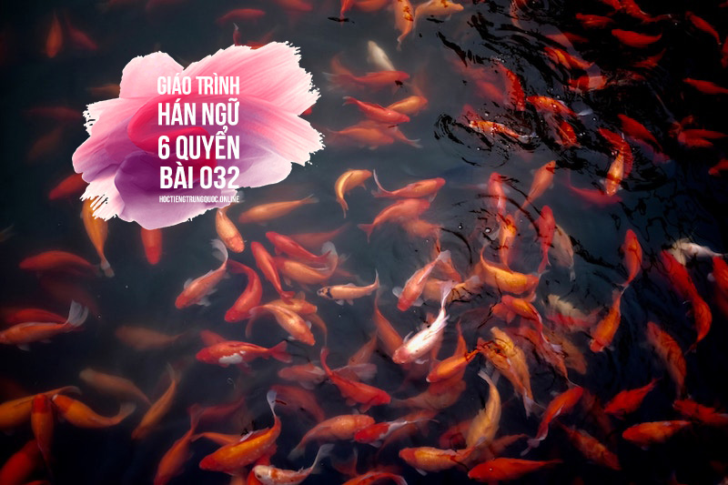 #031 - GT Hán ngữ 6 Quyển – Trần Thị Thanh Liêm (NXBĐHSP) – Quyển 3 – Bài số 31 - 田芳去哪儿了 - Điền Phương đi đâu?