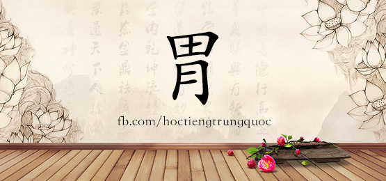 2186 – 胃 – Hsk5 – Từ điển Tam Ngữ 5099 Từ Vựng Hsk 1-6