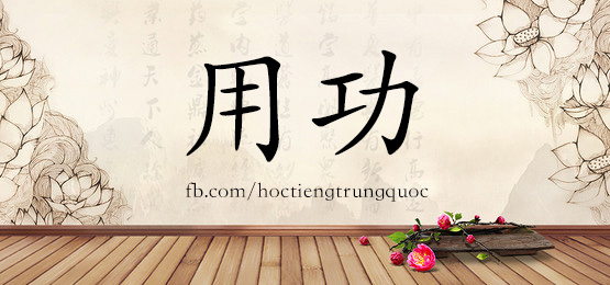 2327 – 英雄 – Hsk5 – Từ điển Tam Ngữ 5099 Từ Vựng Hsk 1-6