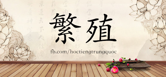 hoc-tieng-trung-theo-chu-de-chu-tan-gai-tren-san-nhay-trong-tieng-trung