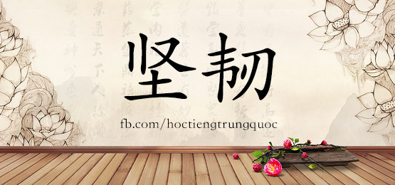 3391 - 坚韧 - Hsk6 - Từ điển Tam Ngữ 5099 Từ Vựng Hsk 1-6