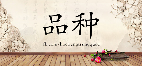 3864 - 拼命 - Hsk6 - Từ điển Tam Ngữ 5099 Từ Vựng Hsk 1-6