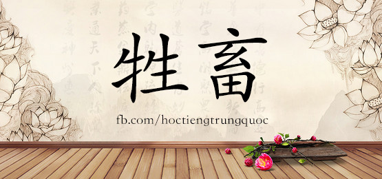 4109 - 声誉 - Hsk6 - Từ điển Tam Ngữ 5099 Từ Vựng Hsk 1-6