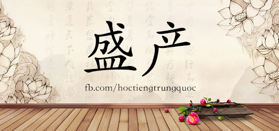 4121 - 省会 - Hsk6 - Từ điển Tam Ngữ 5099 Từ Vựng Hsk 1-6