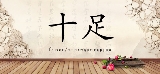 4132 - 施加 - Hsk6 - Từ điển Tam Ngữ 5099 Từ Vựng Hsk 1-6