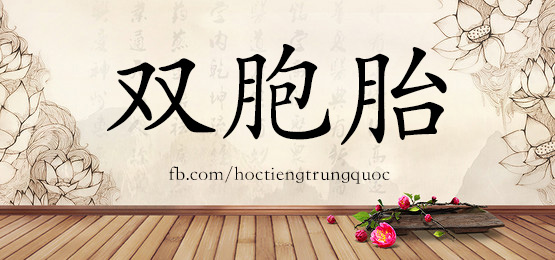 4201 - 涮火锅 - Hsk6 - Từ điển Tam Ngữ 5099 Từ Vựng Hsk 1-6