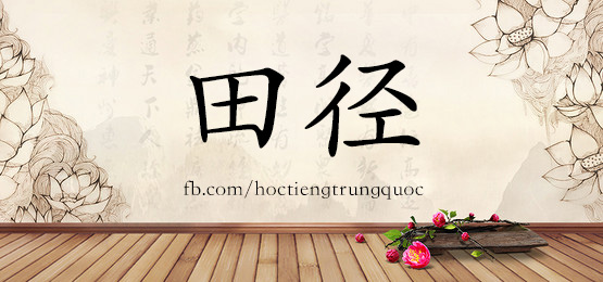 4229 - 随即 - Hsk6 - Từ điển Tam Ngữ 5099 Từ Vựng Hsk 1-6