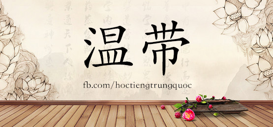 4383 - 卫星 - Hsk6 - Từ điển Tam Ngữ 5099 Từ Vựng Hsk 1-6