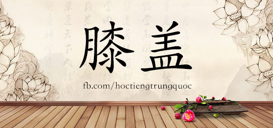 4417 - 武侠 - Hsk6 - Từ điển Tam Ngữ 5099 Từ Vựng Hsk 1-6