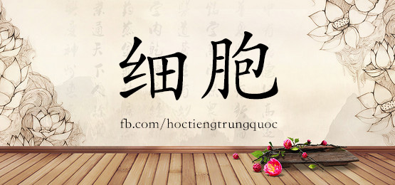 4433 - 媳妇 - Hsk6 - Từ điển Tam Ngữ 5099 Từ Vựng Hsk 1-6
