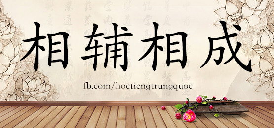 4470-相辅相成