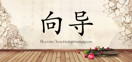 4476-向导