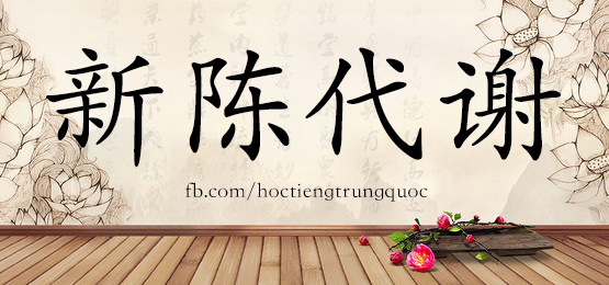 4507 - 心眼儿 - Hsk6 - Từ điển Tam Ngữ 5099 Từ Vựng Hsk 1-6