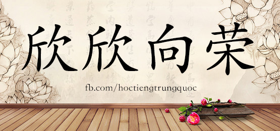 4507 - 心眼儿 - Hsk6 - Từ điển Tam Ngữ 5099 Từ Vựng Hsk 1-6