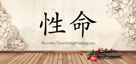 4523 - 腥 - Hsk6 - Từ điển Tam Ngữ 5099 Từ Vựng Hsk 1-6