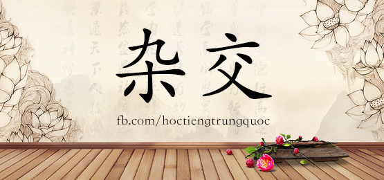 4739 - 杂技 - Hsk6 - Từ điển Tam Ngữ 5099 Từ Vựng Hsk 1-6