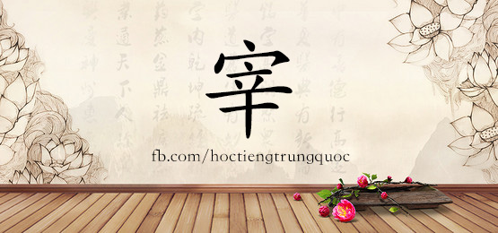 4739 - 杂技 - Hsk6 - Từ điển Tam Ngữ 5099 Từ Vựng Hsk 1-6