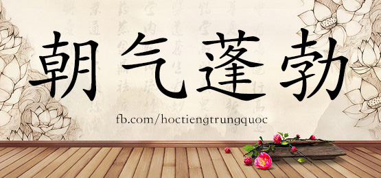 4771 - 展示 - Hsk6 - Từ điển Tam Ngữ 5099 Từ Vựng Hsk 1-6