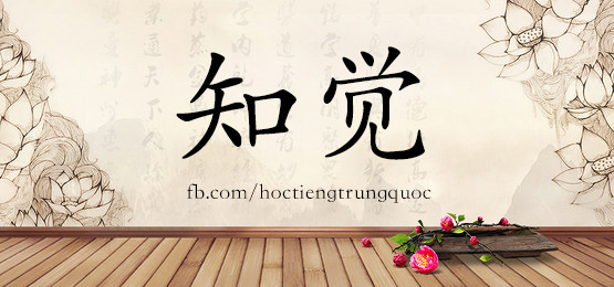 4795 - 折磨 - Hsk6 - Từ điển Tam Ngữ 5099 Từ Vựng Hsk 1-6